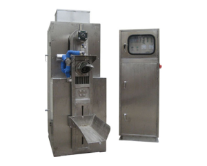 DCS50FLII valve bag p...