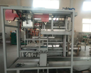 Automatic bagging mac...